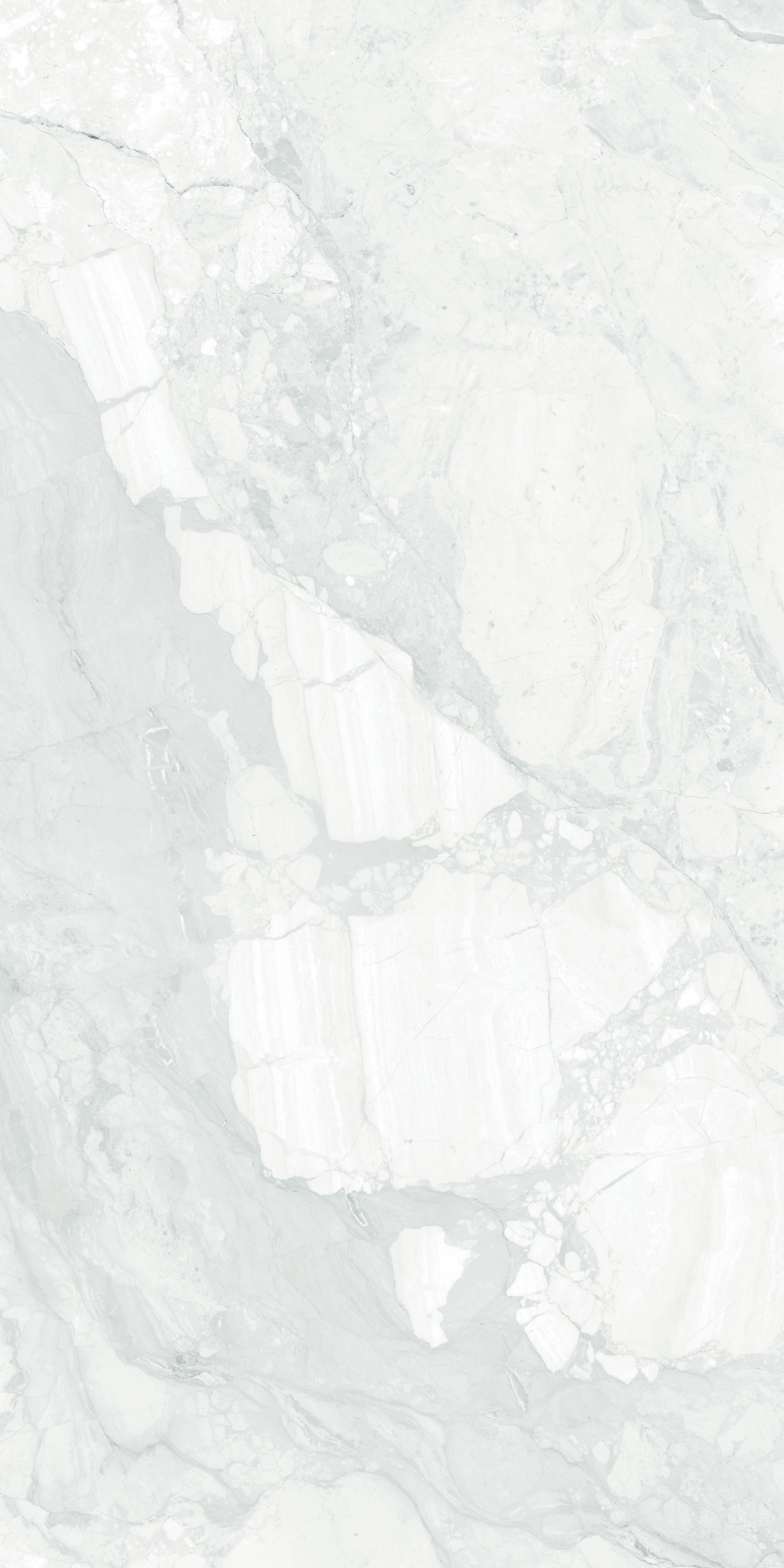 Porcelain Tile 60x120 Rooster white(Glossy)